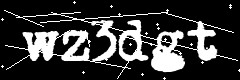 图形验证码